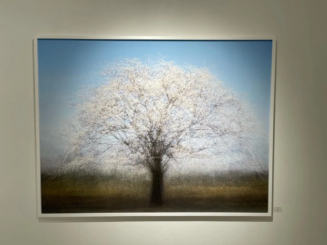 다운로드 (91).jpeg