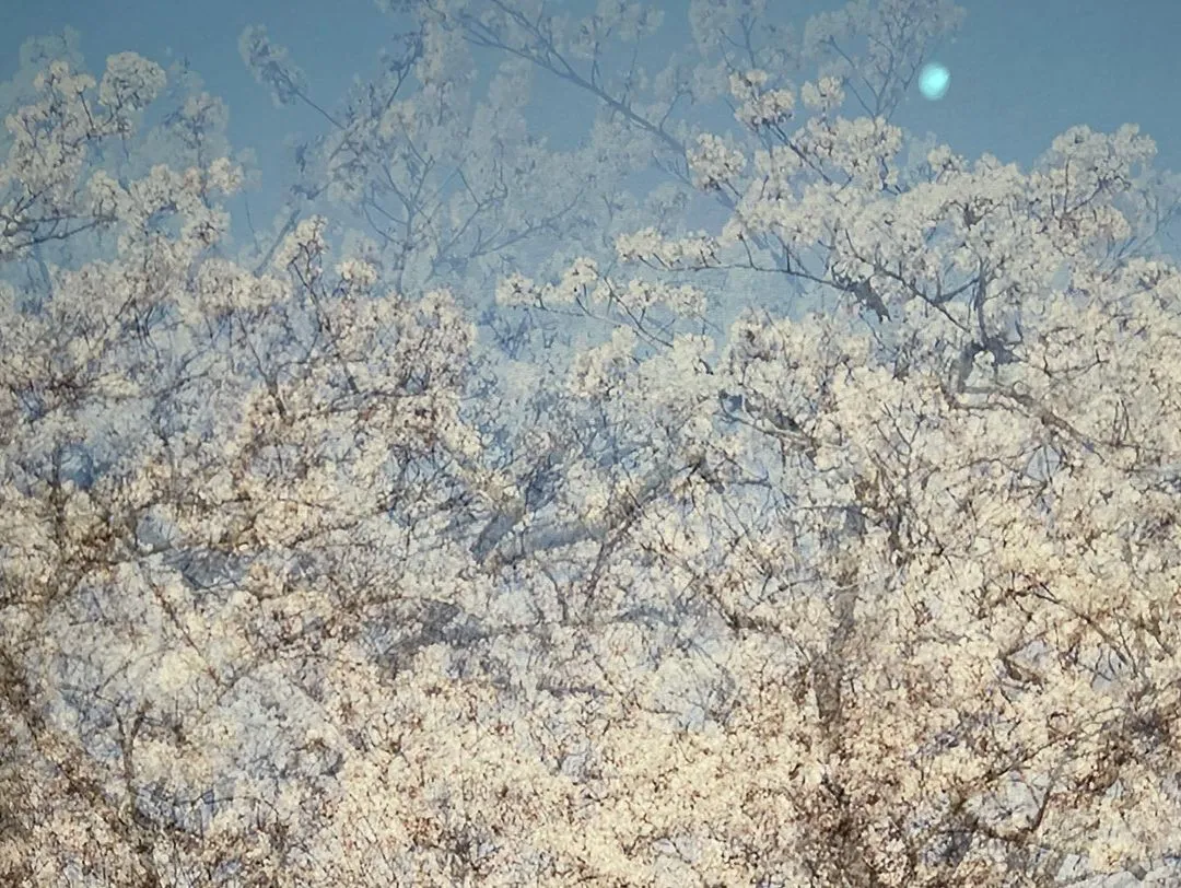 다운로드 (92).jpeg