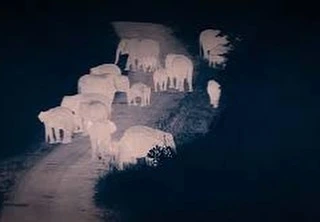 다운로드 (55).jpeg