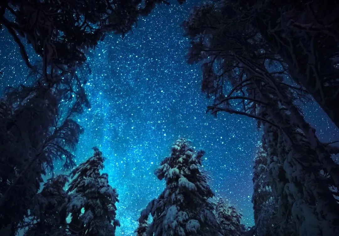 다운로드 (56).jpeg