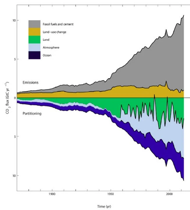 다운로드 (84).jpeg