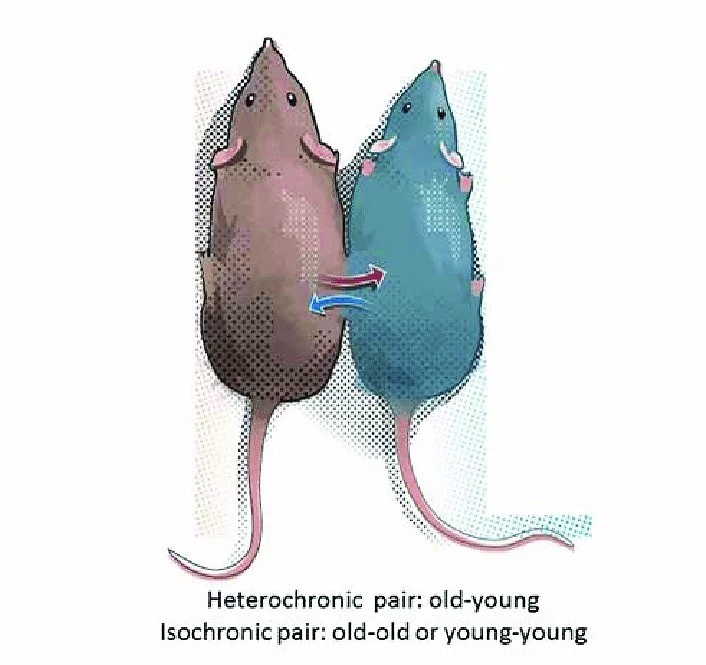 다운로드 (56).jpeg