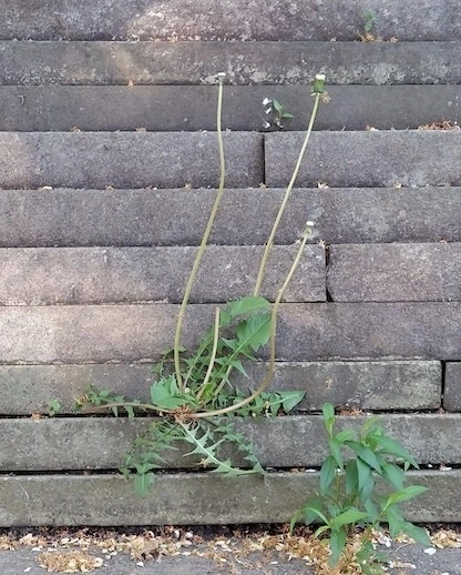 20220514_084346 복사본.jpeg