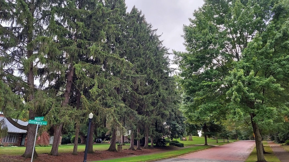 KakaoTalk_Photo_2022-09-06-15-44-29 002.jpeg