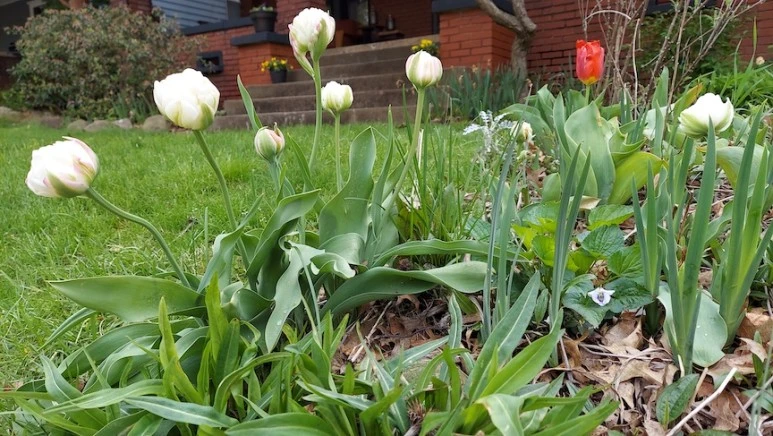 20220505_084102.jpg?type=w773