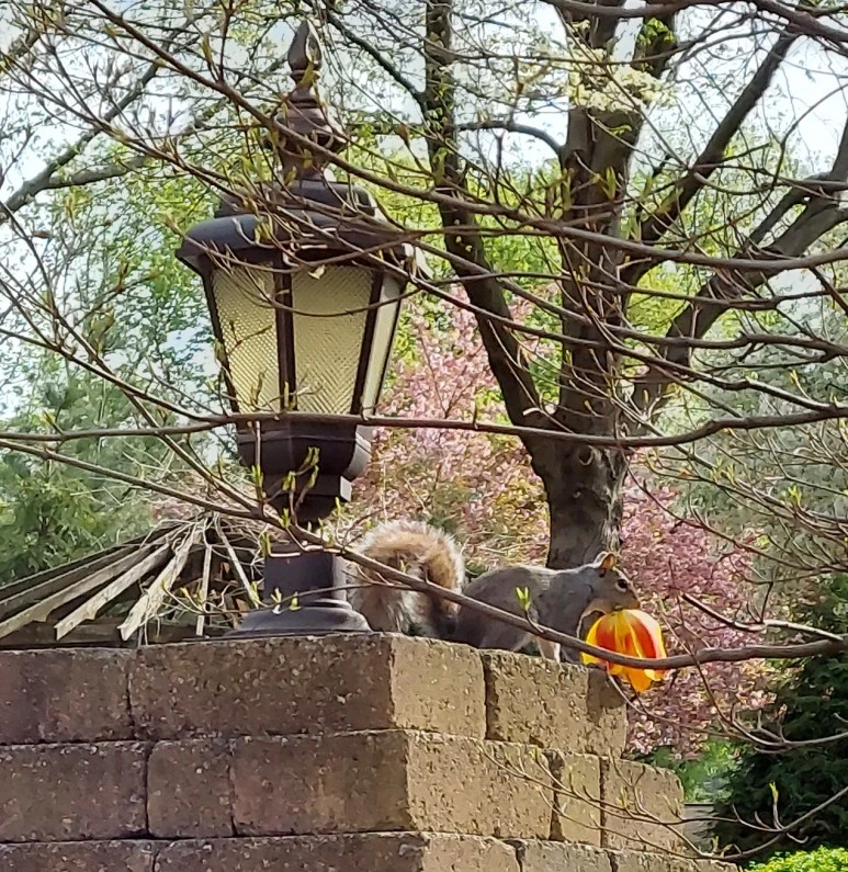 20220505_092321.jpg?type=w773