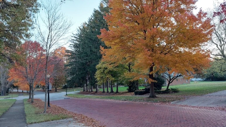 20211109_072757.jpg?type=w773