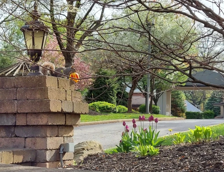 20220505_092321-1.jpg?type=w773