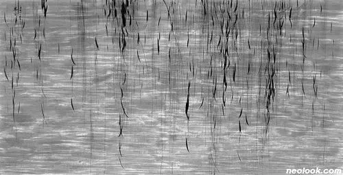 %B9%AE%BA%C0%BC%B1_%C0%BD%B7%FC%28%EB%E5%D7%C8%29_%C8%AD%BC%B1%C1%F6%BF%A1_%BC%F6%B9%AC_124%A1%BF246cm_2002.jpg?type=w773