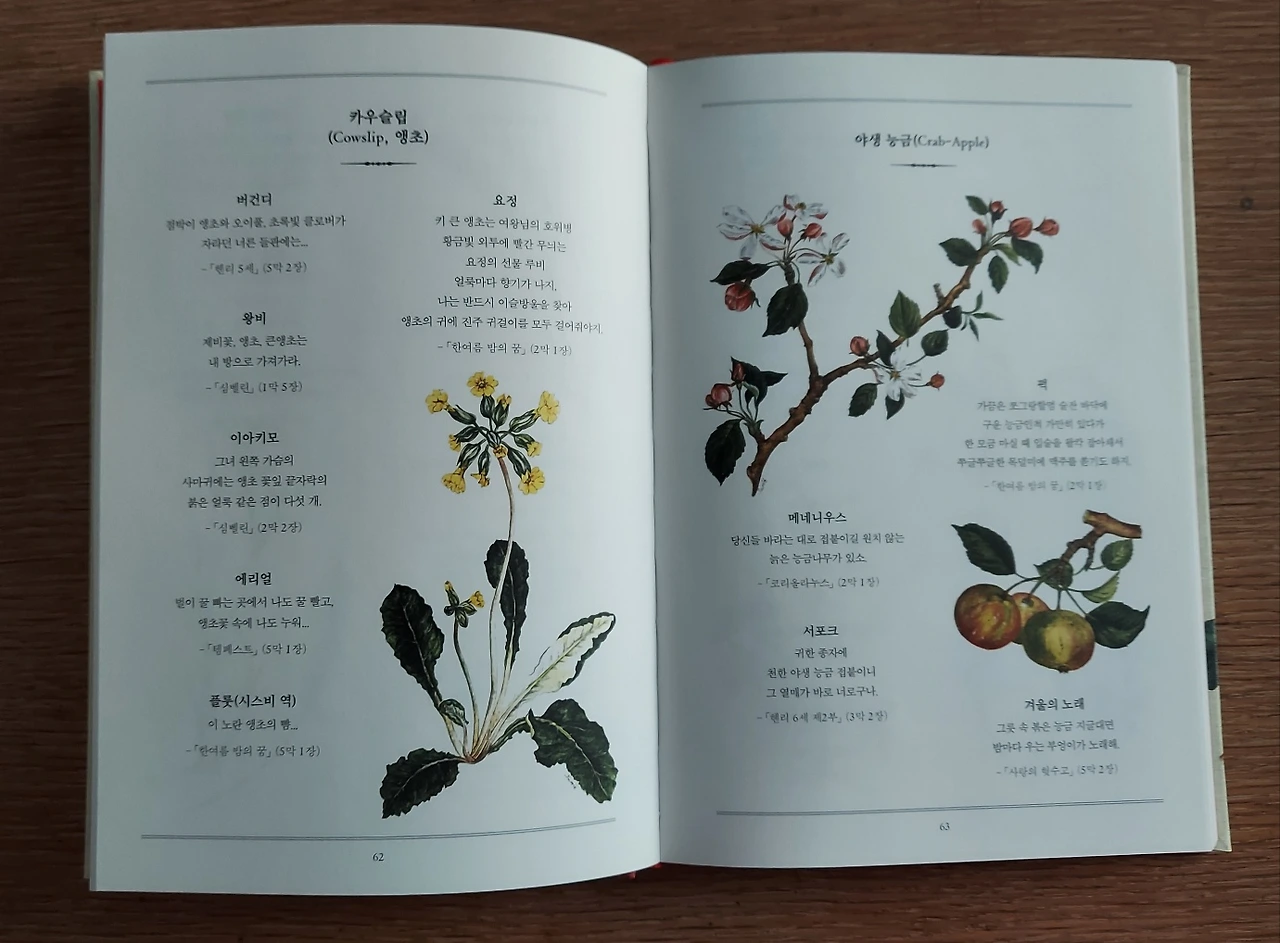 KakaoTalk_Photo_2025-01-29-08-48-08 001.jpeg