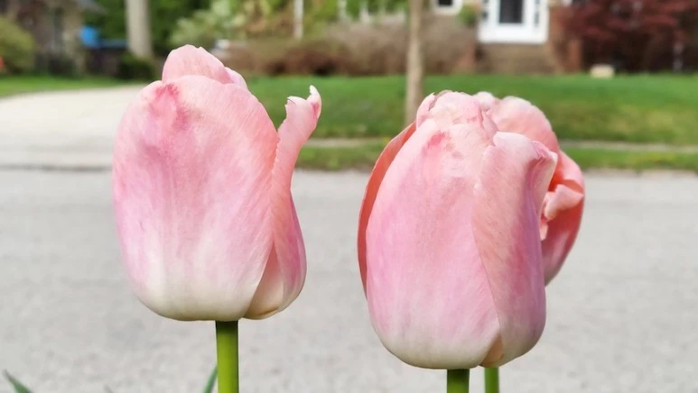 20220505_085344.jpg?type=w773