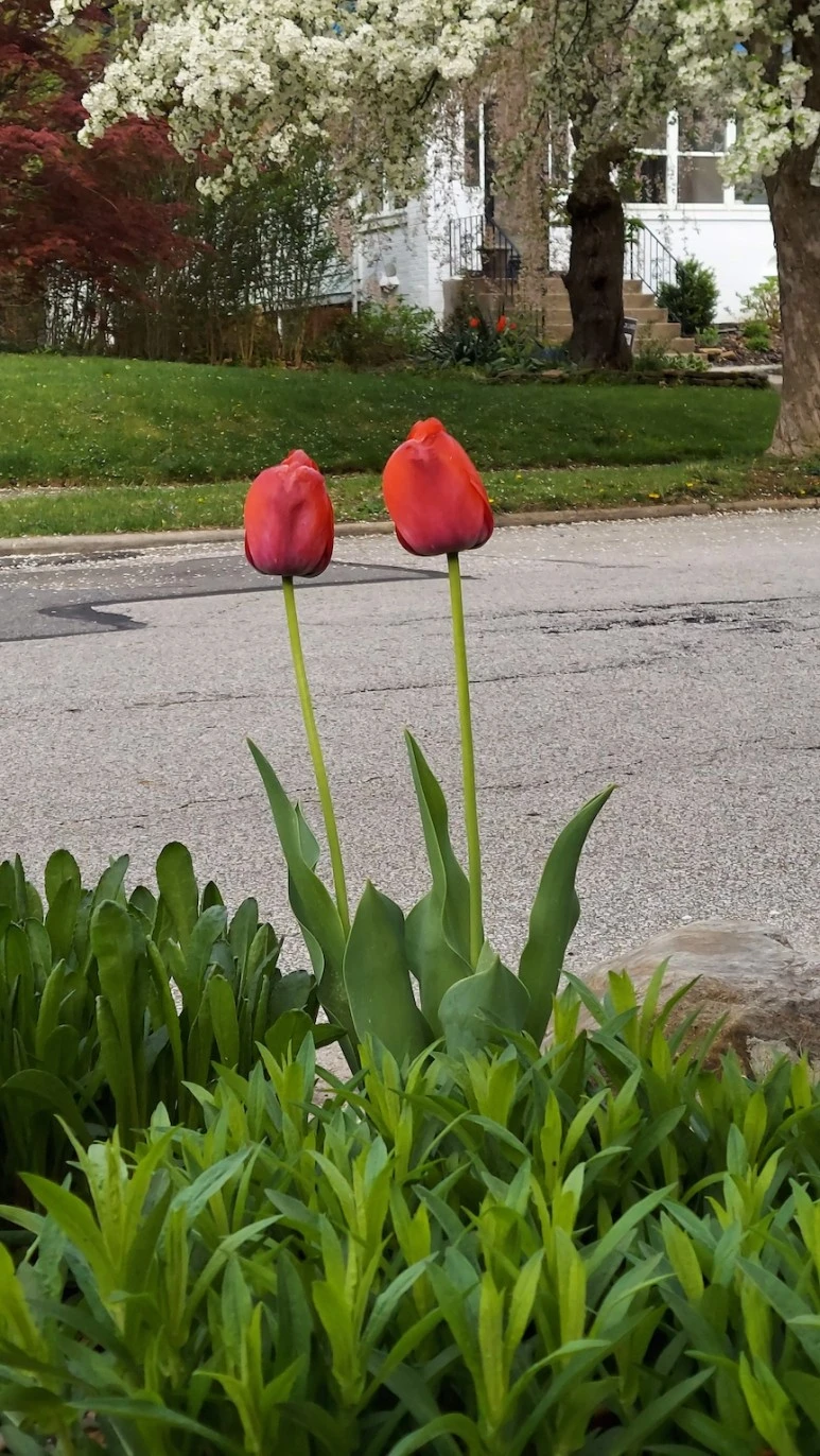 20220505_085423.jpg?type=w773