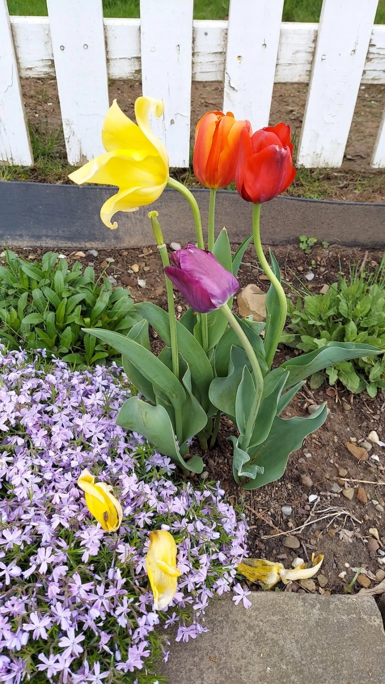 20220503_095458.jpg?type=w773