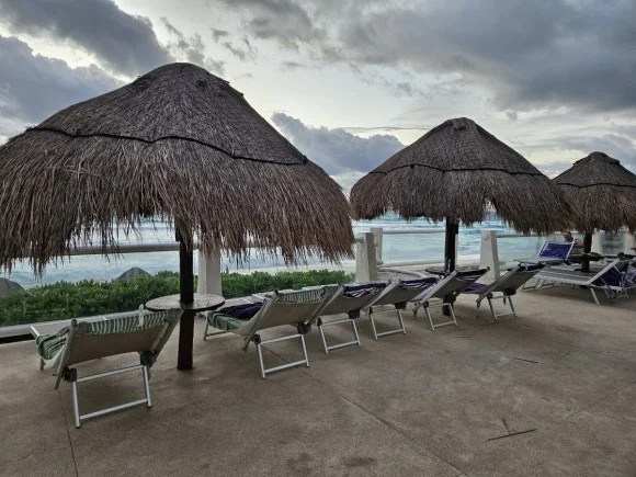 IMG_8273.JPG?type=w580