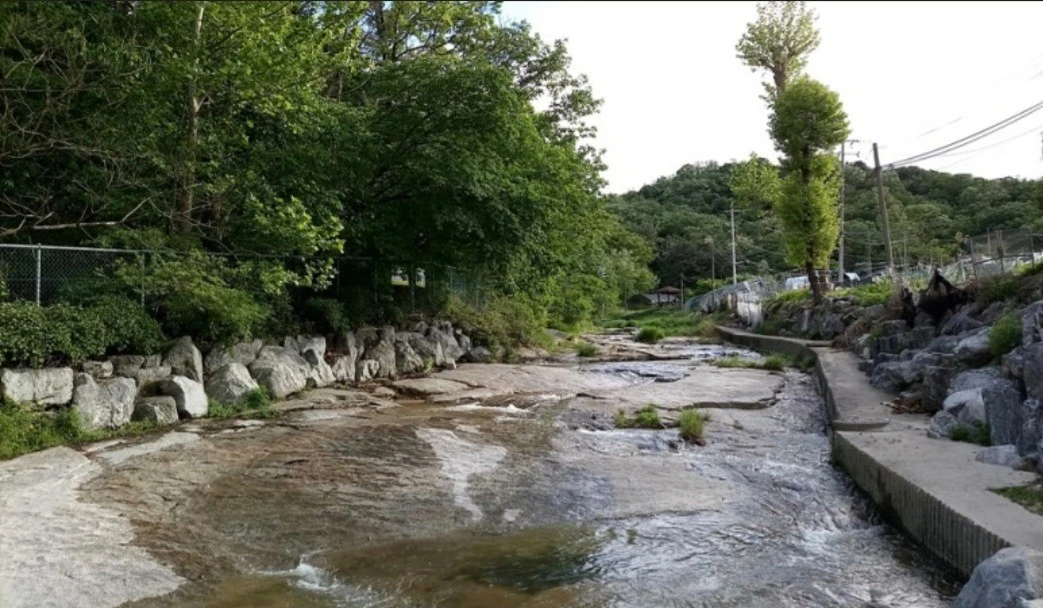 8_8jgUd018svcbpqoan6zfbig_bs5d46.jpg?type=e1920_std