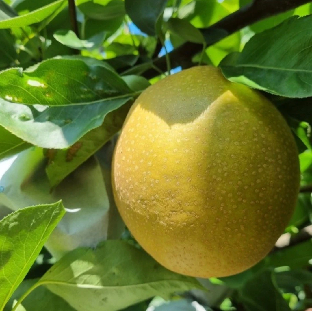 4_3f2Ud018svc6c6uxx9k0uzj_bs5d46.jpg?type=e1920_std