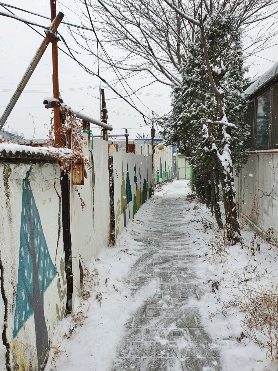 h_gi0Ud018svc1j9h5hk6o2kcn_bs5d46.jpg?type=e1920_std