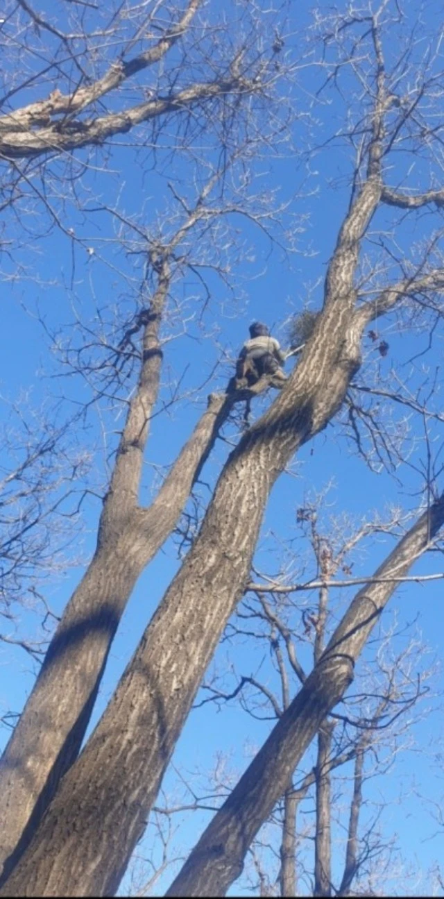 7_a4cUd018svc3htjh1haqe24_bs5d46.jpg?type=e1920_std