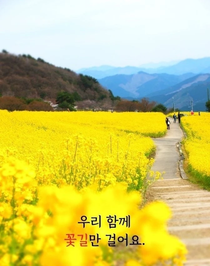 8_9acUd018svcqbug70dfeaob_bs5d46.jpg?type=e1920_std