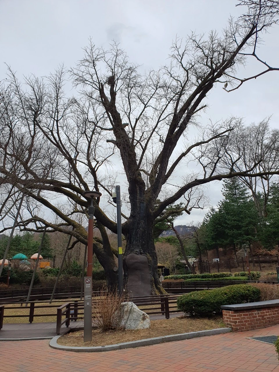 a_6efUd018svc1djflmnafbxos_bs5d46.jpg?type=e1920_std