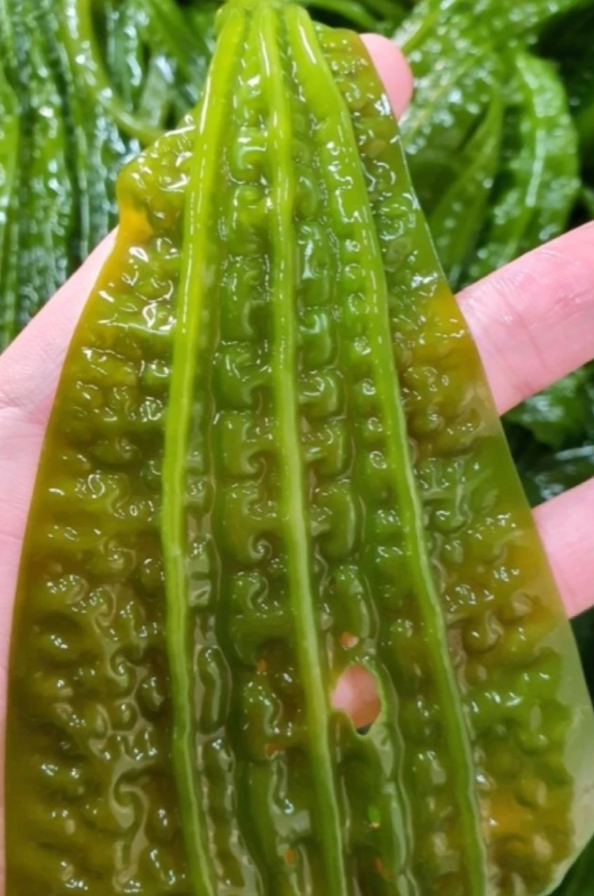 2_00jUd018svc1phydzbms2zm8_bs5d46.jpeg?type=e1920_std