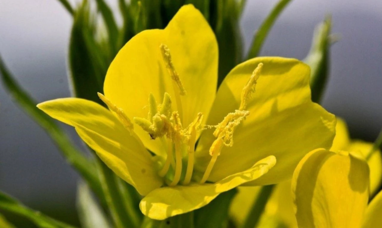 6_i05Ud018svccxfoy2tzbcwz_bs5d46.jpg?type=e1920_std