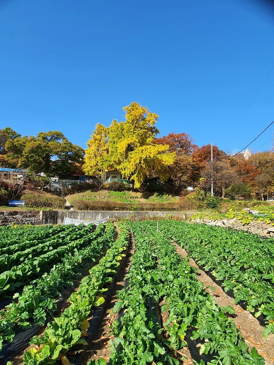 e_hddUd018svc5t3epsvuxqmk_bs5d46.jpg?type=e1920_std