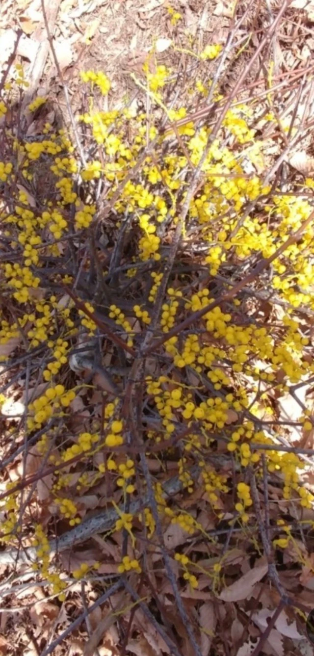 7_b4cUd018svci2xmzud9fmsa_bs5d46.jpg?type=e1920_std