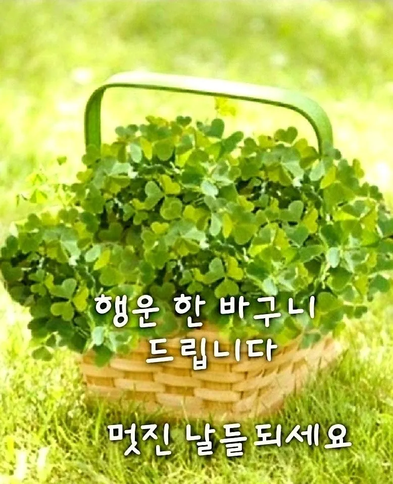 j_4d2Ud018svci4bjsrniaksk_bs5d46.jpg?type=e1920_std