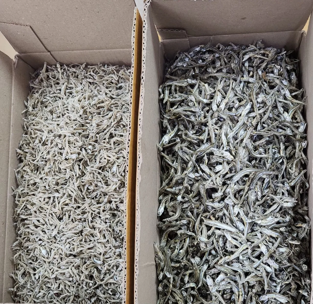 3_a1iUd018svc10qdii5wdse3g_bs5d46.jpg?type=e1920_std