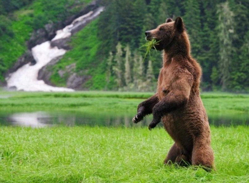 h_00iUd018svc1uln282mr0rrt_bs5d46.jpeg?type=e1920_std