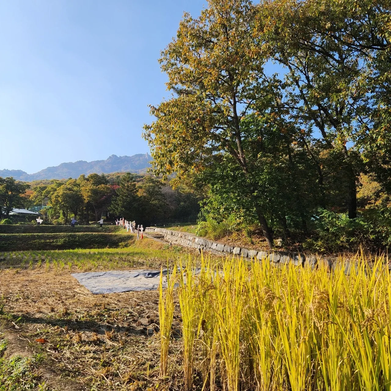 7_4aaUd018svcf3th1ltt9pnm_bs5d46.jpg?type=e1920_std