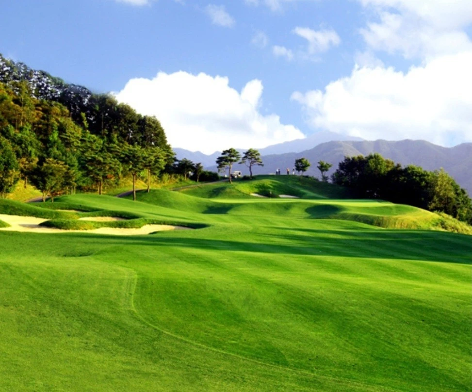 e_8c5Ud018svccwozdoymll1x_bs5d46.jpg?type=e1920_std