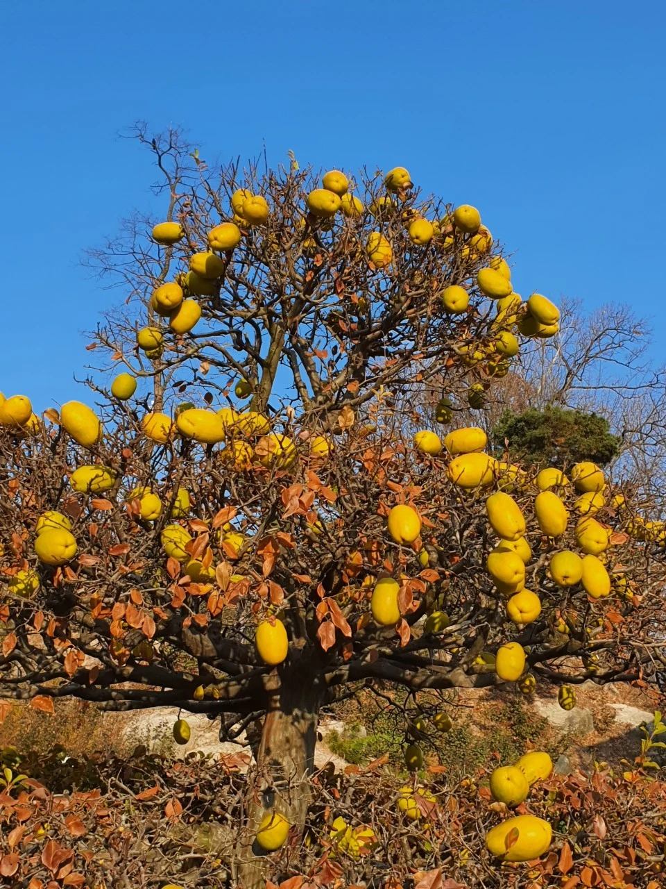 b_eddUd018svc528rx87ze2q1_bs5d46.jpg?type=e1920_std