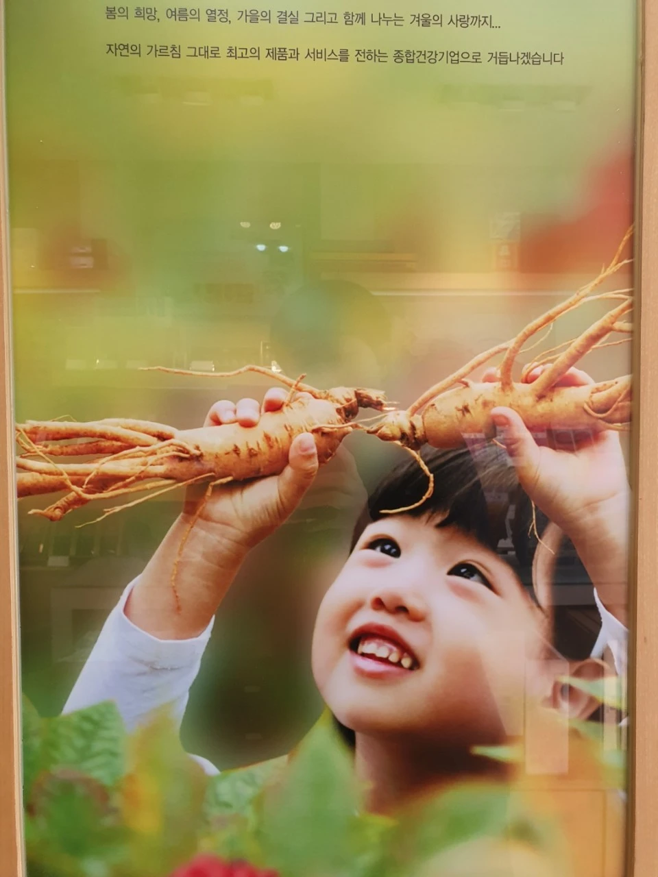 6_68cUd018svc13amecw3ilpkl_bs5d46.jpg?type=e1920_std