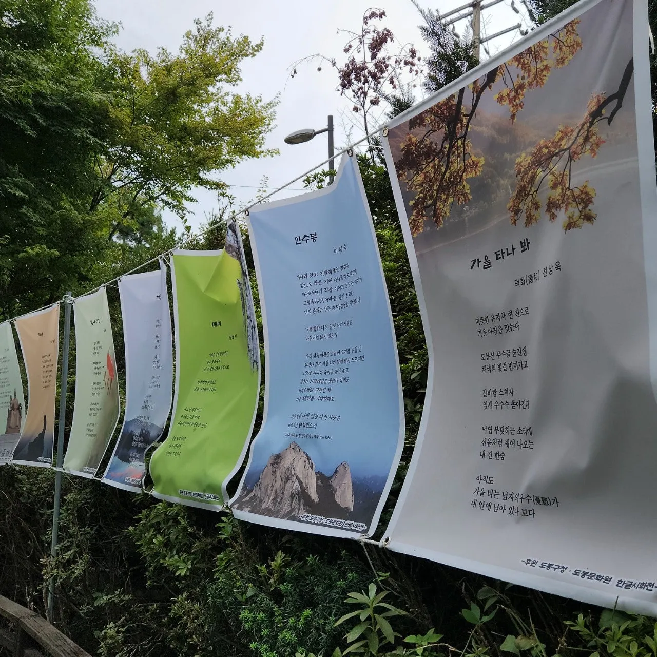 h_d5hUd018svc1bsh9tih41bs0_bs5d46.jpg?type=e1920_std