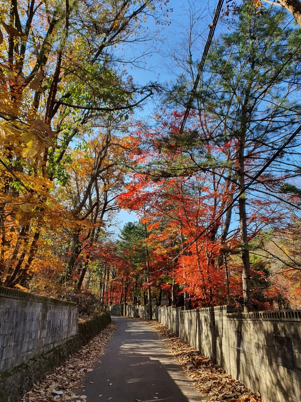 7_9jdUd018svc15au9qy3hqr6t_bs5d46.jpg?type=e1920_std