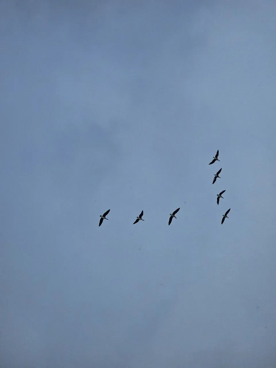 f_99aUd018svc1eij4e7kn4c6d_bs5d46.jpg?type=e1920_std