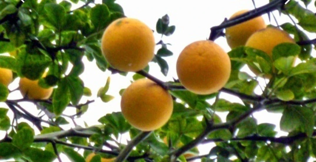 d_j8hUd018svc14tv4bsvd11j8_bs5d46.jpg?type=e1920_std