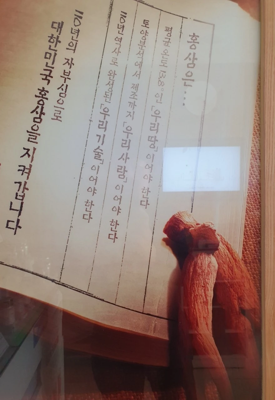 6_78cUd018svc1n35ha6plse7l_bs5d46.jpg?type=e1920_std