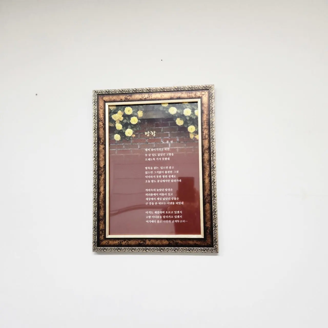 9_1heUd018svcq89tg98qdlfs_bs5d46.jpg?type=e1920_std