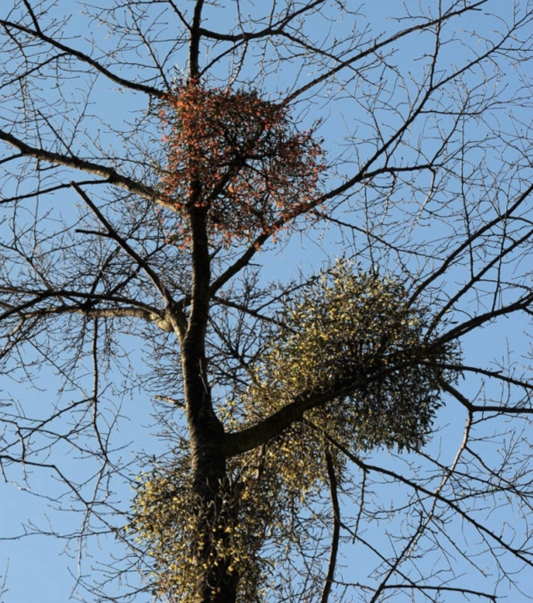 i_j58Ud018svc1mjilpsx9byef_bs5d46.jpg?type=e1920_std