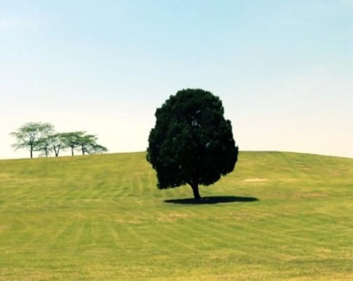 5_5g2Ud018svc1r2cfiha7dwdm_bs5d46.jpg?type=e1920_std