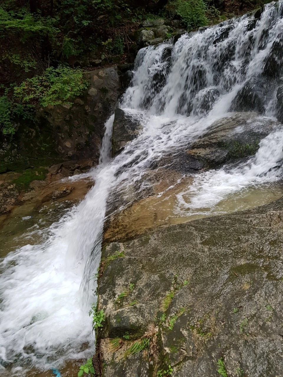 b_i15Ud018svc1of8rvfdm16c0_bs5d46.jpg?type=e1920_std