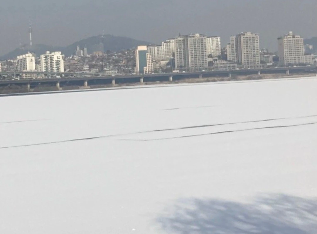 1_204Ud018svcup56ojqu7tx8_bs5d46.jpg?type=e1920_std