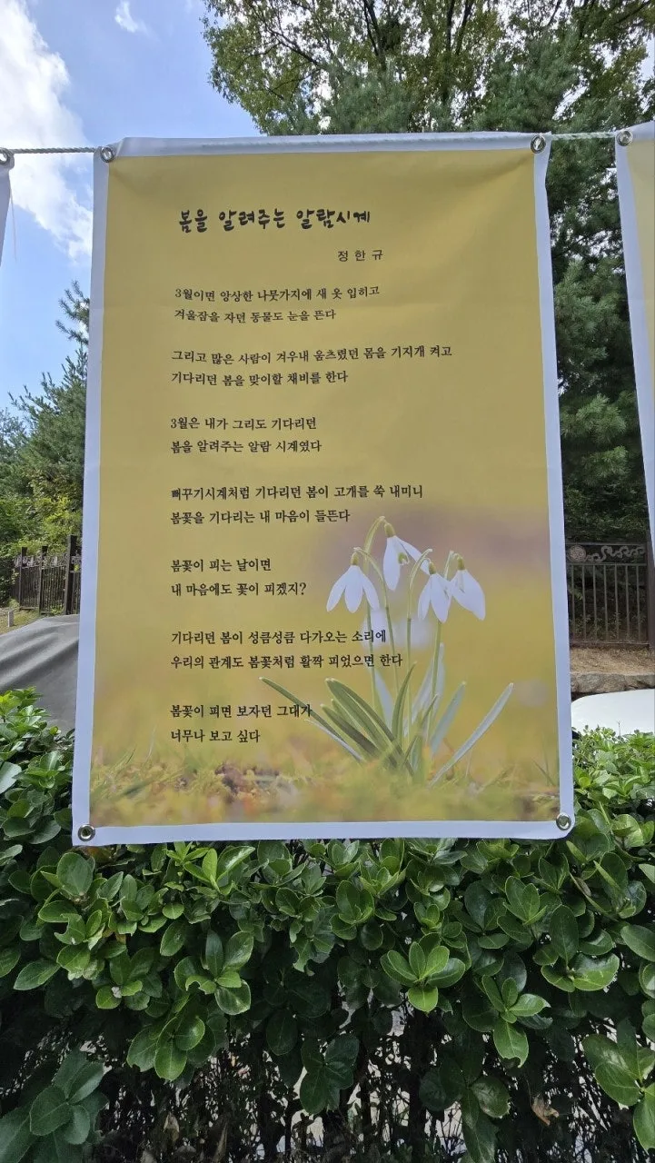 6_6ccUd018svcc5cgpu0t43om_bs5d46.jpg?type=e1920_std