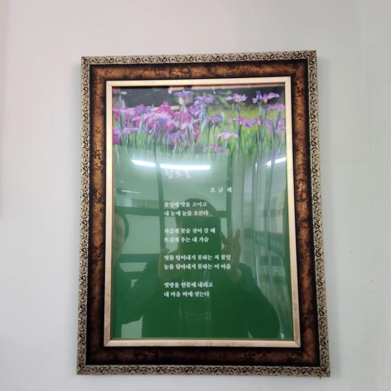 a_4heUd018svc14vd6d0lujapz_bs5d46.jpg?type=e1920_std