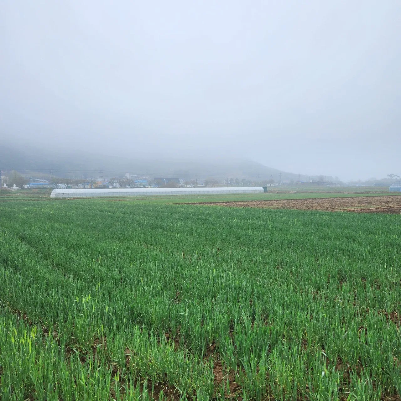 e_ibjUd018svc4obpaq3zgeqg_bs5d46.jpg?type=e1920_std