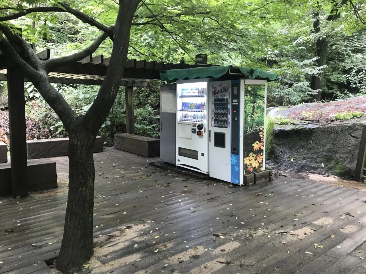 9_b0cUd018svccj5ylx5swhhi_bs5d46.jpg?type=e1920_std