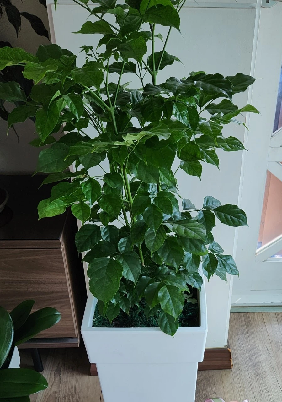 b_i33Ud018svcfy6u30mx5s41_bs5d46.jpg?type=e1920_std